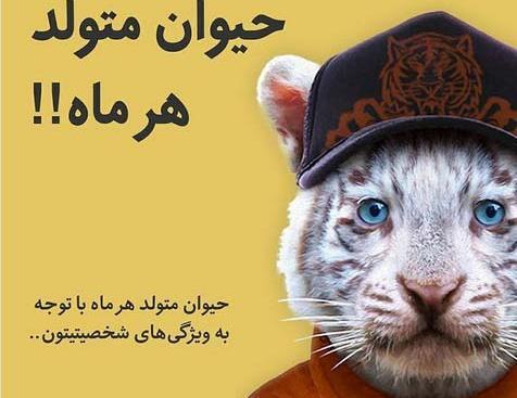 عکس های ماه تولد حیوان