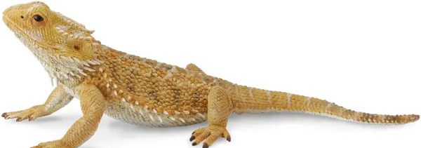 عکس نقاشی مارمولک ساده