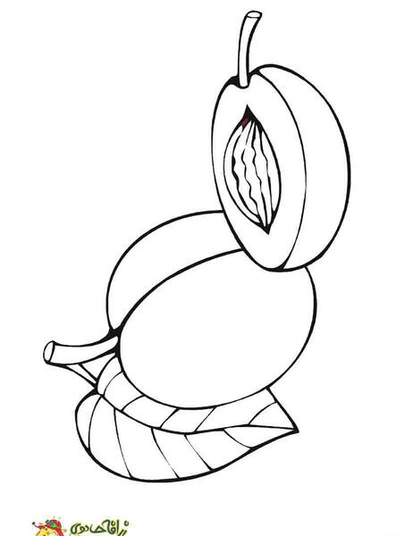 عکس نقاشی مارمولک ساده