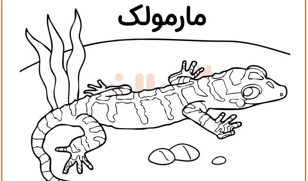 عکس نقاشی مارمولک ساده