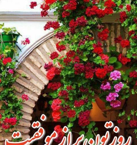 عکس ظهرتون بخیر