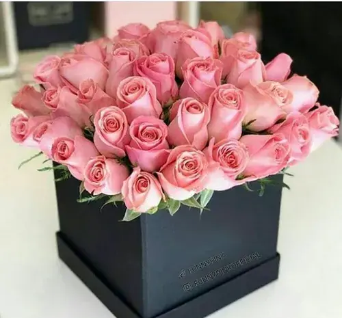 عکس ظهرتون بخیر