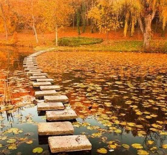 عکس باران پاییزی