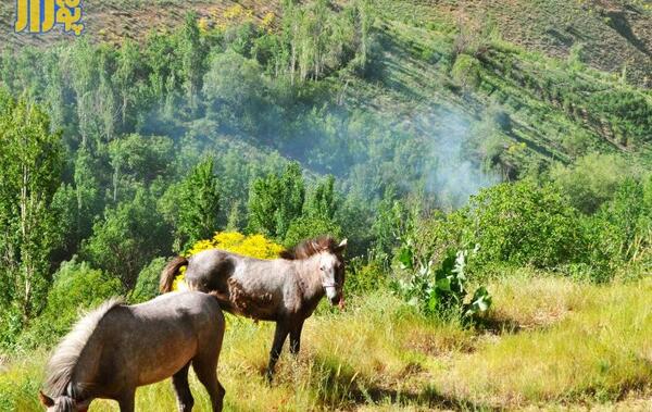 عکس روستای بن کمر