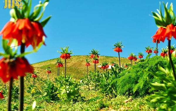 عکس روستای بن کمر