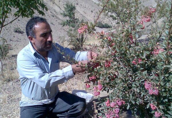 عکس روستای بن کمر
