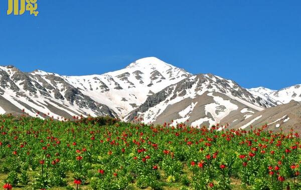 عکس روستای بن کمر