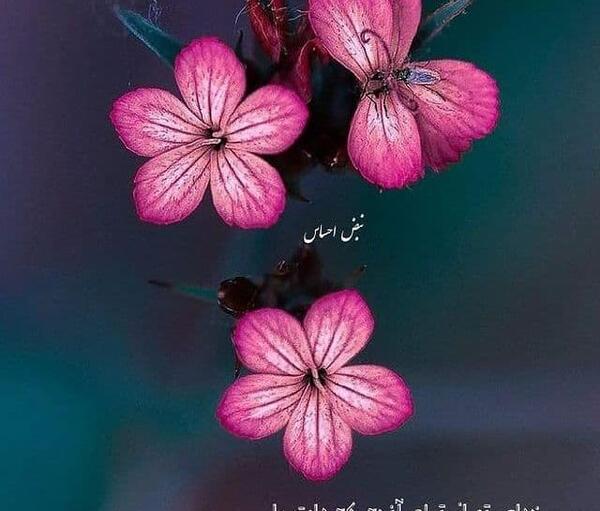 عکس نوشته خاص خدایا
