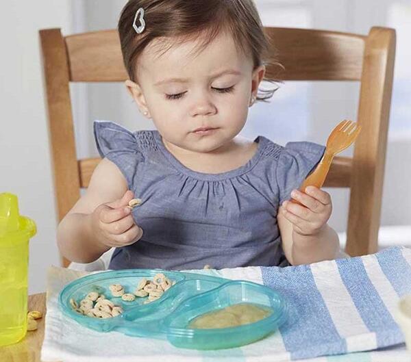 عکس ظرف غذای مدرسه