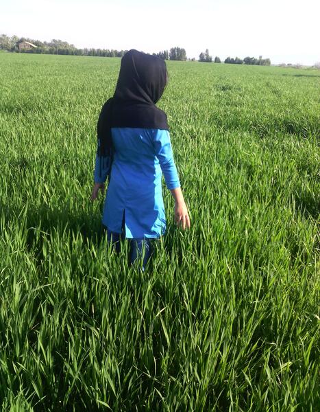 ژست عکس دخترانه در گندم زار