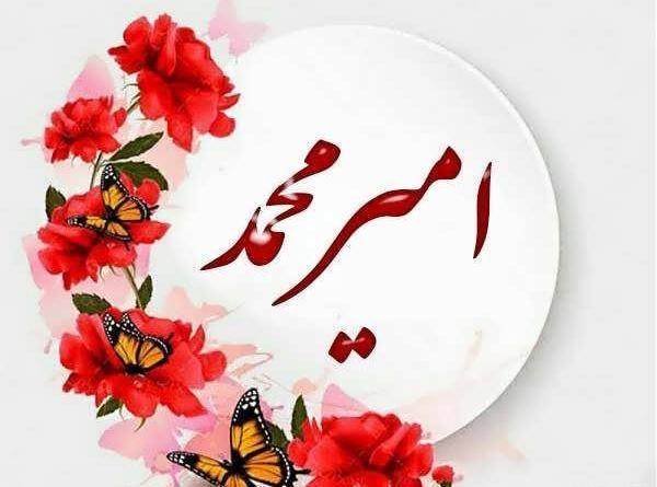 عکس نوشته اسم امیرمحمد برای پروفایل