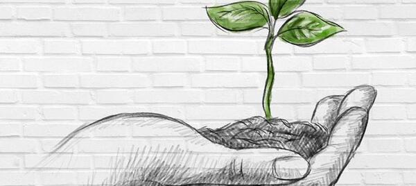 عکس ایده برای نقاشی محیط زیست