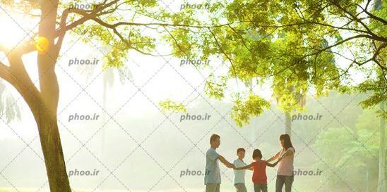 عکس روز آفتابی