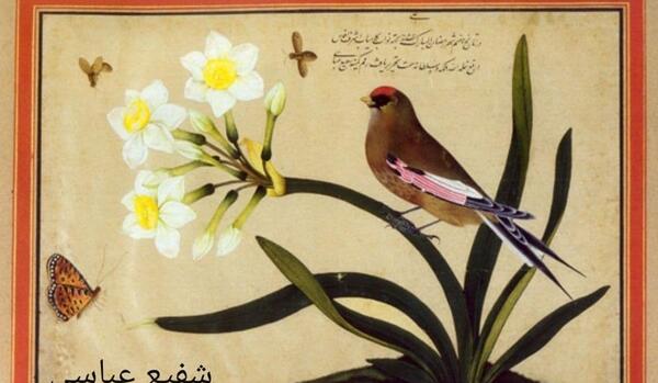 عکس نقاشی گل و مرغ