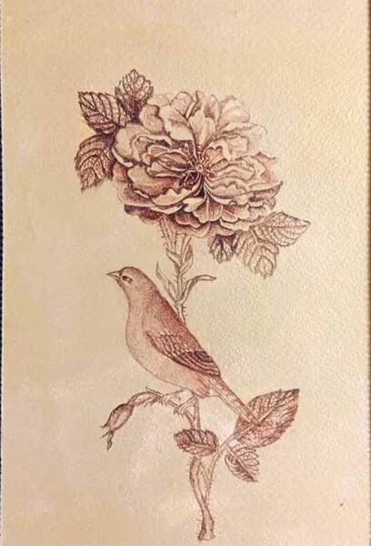 عکس نقاشی گل و مرغ