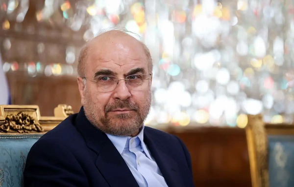 عکس نیما رسول زاده مدیر دیجی کالا