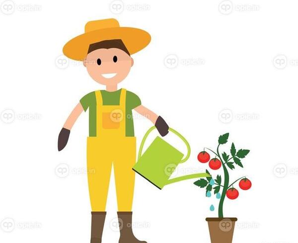 عکس نقاشی ساده گوجه فرنگی