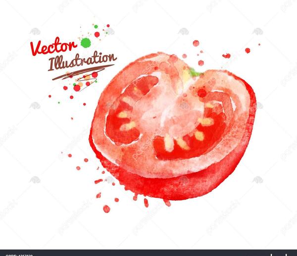 عکس نقاشی ساده گوجه فرنگی