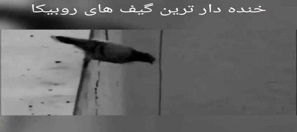 عکس خنده دار روبیکا