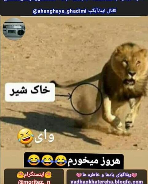 عکس خنده دار روبیکا