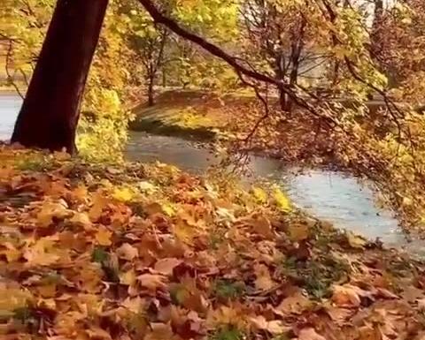 عکس کلیپ استوری پاییزی برای