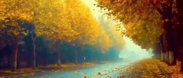 عکس کلیپ استوری پاییزی برای