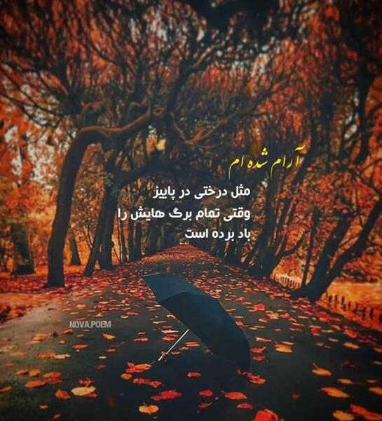 عکس کلیپ استوری پاییزی برای