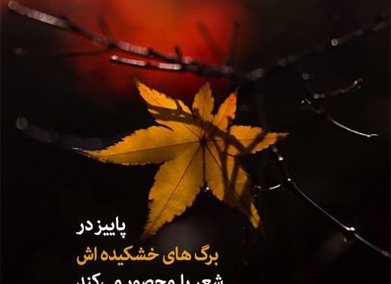 عکس کلیپ استوری پاییزی برای