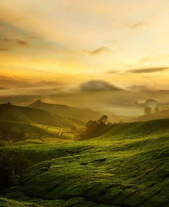 عکس تصاویر زیبای طبیعت عمودی