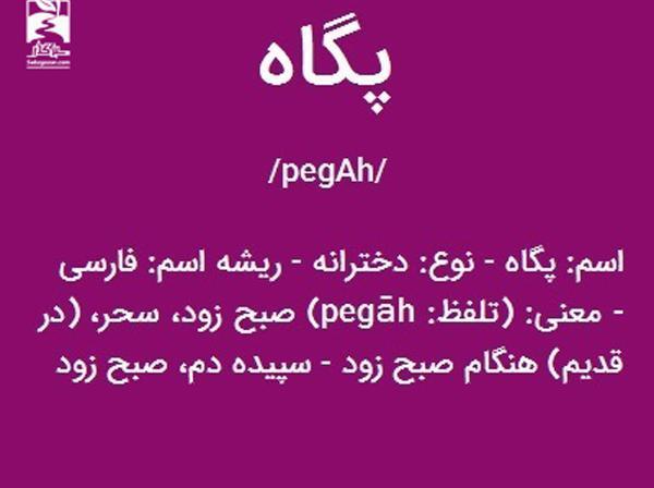 عکس نوشته محمد پگاه