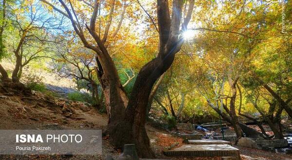 عکس طبیعت زیبای ماسوله