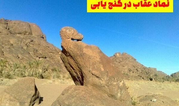 عکس عقاب چیست