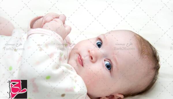 عکس نوزاد لایه باز