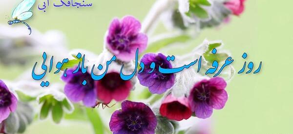 عکس روز عرفه و عید قربان