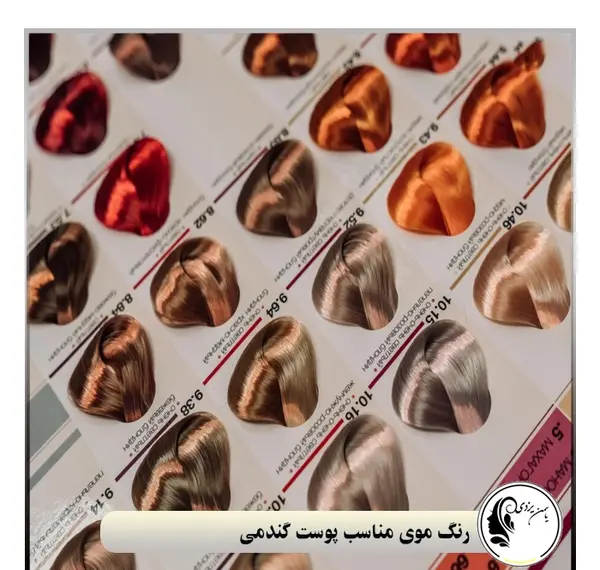 عکس رنگ مو گندمی