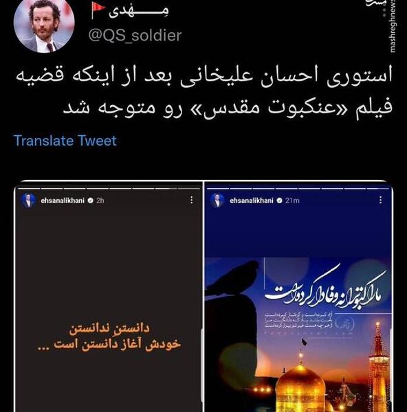 عکس هوایی عنکبوت مقدس