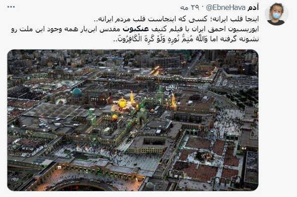 عکس هوایی عنکبوت مقدس