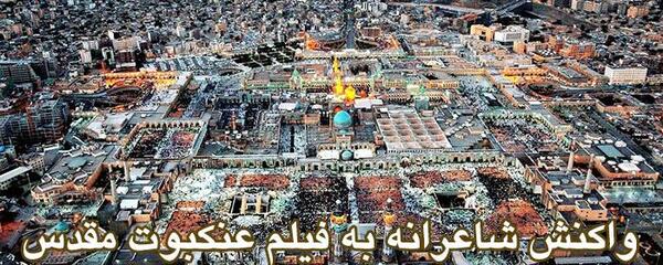 عکس هوایی عنکبوت مقدس