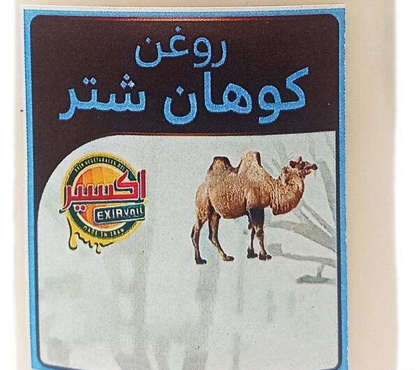 عکس قلم شتر