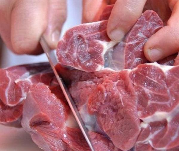 عکس قلم شتر