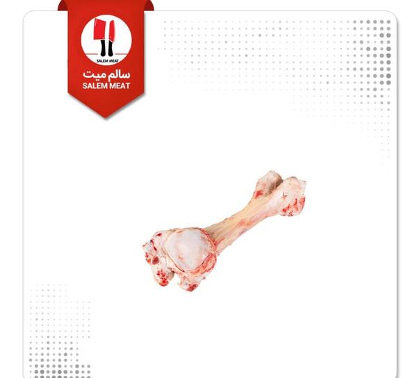 عکس قلم شتر
