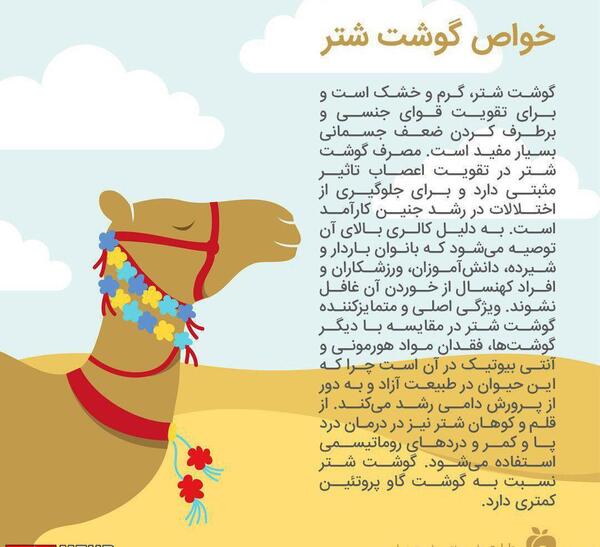 عکس قلم شتر