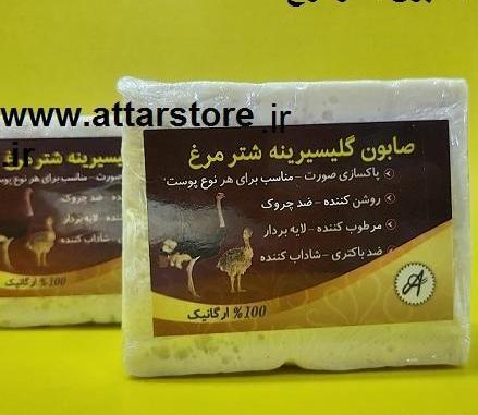 عکس قلم شتر
