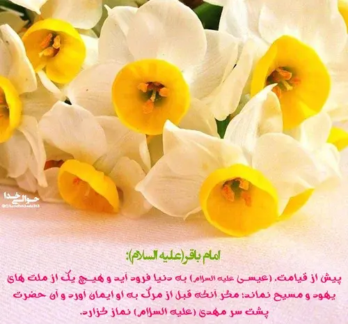 عکس پروفایل تولد عیسی مسیح