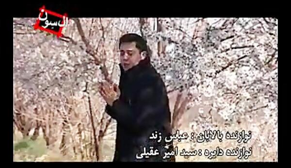 عکس پوریا ترکمن