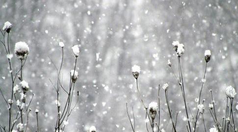 عکس های زیبای زمستانی برای پروفایل