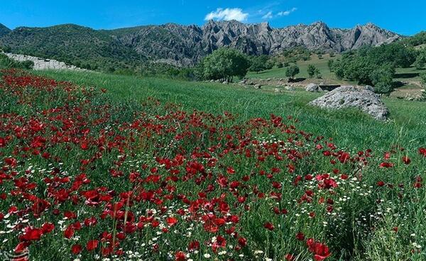 عکس مهراب کوه اب قره سو دلفان لرستان
