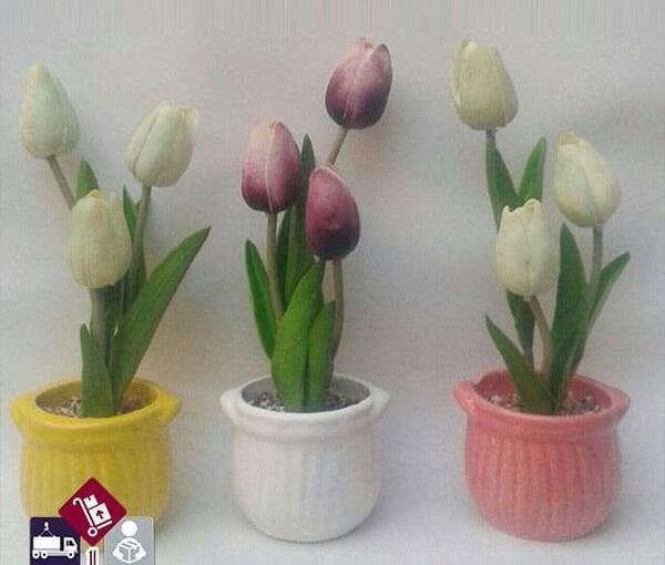 عکس ژله گل لاله