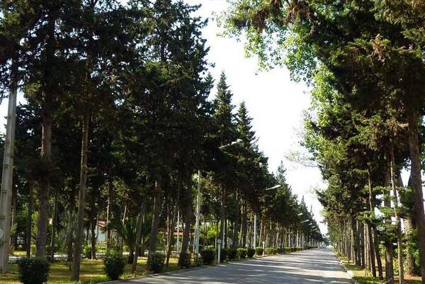 عکس دریا کنار