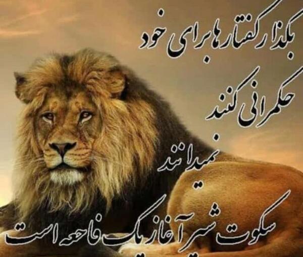 عکس شیر سلطان جنگل